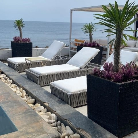 Cosmo Beach Club