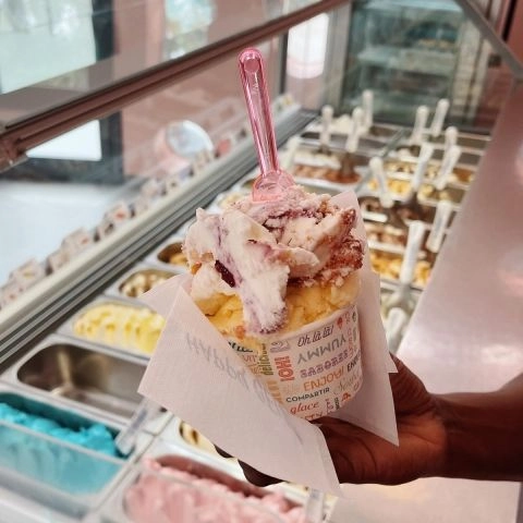N'ice Cream
