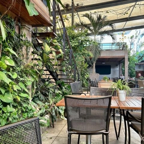 Terrasse Farid