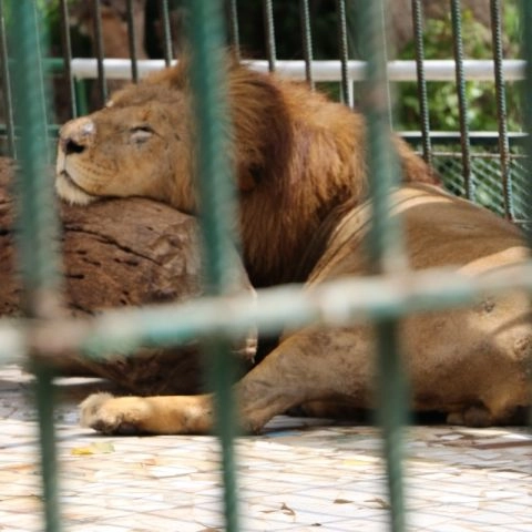 Parc Zoologique de Hann