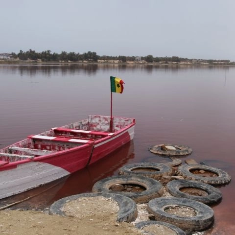 Lac Rose