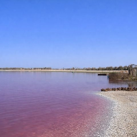 Lac Rose