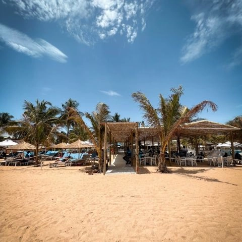 Safari Beach