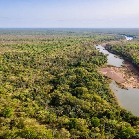 Parc National du Niokolo-Koba