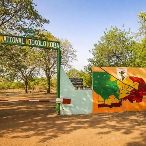 Parc National du Niokolo-Koba