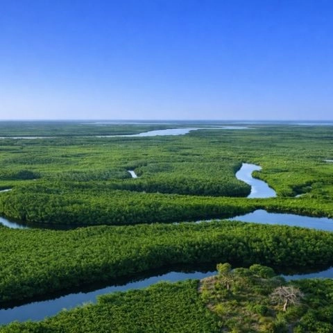 Parc National du Delta du Saloum