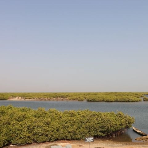 Aire marine protégée de Joal-Fadiouth