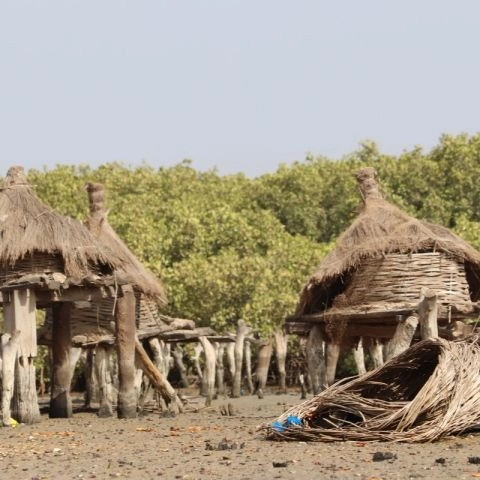 Aire marine protégée de Joal-Fadiouth