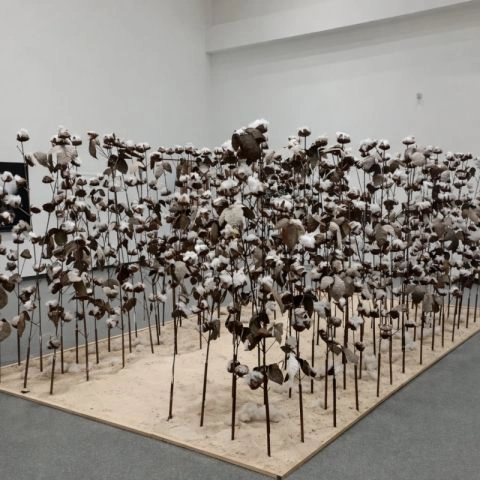 Musée des Civilisations noires