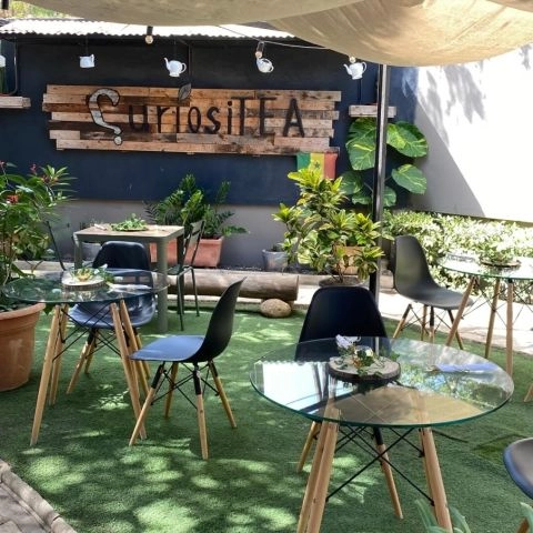 CuriosiTEA
