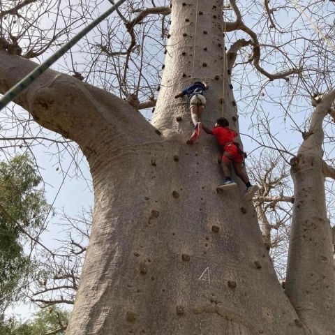 Accro Baobab Adventure