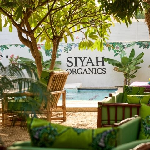 Siyah Organics