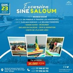 Excursion Sine Saloum