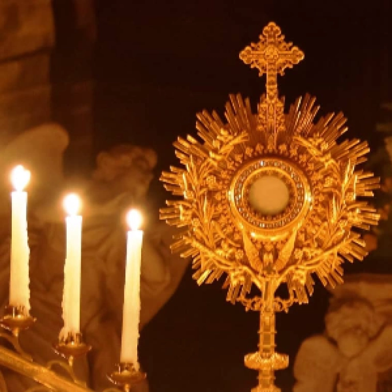 Photo de profil de gildas