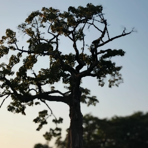 Photo de profil de guidetouristique