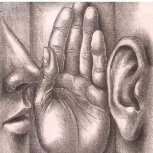 Photo de profil de beaugars