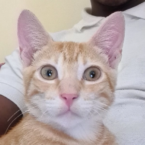 Photo de profil de docjam