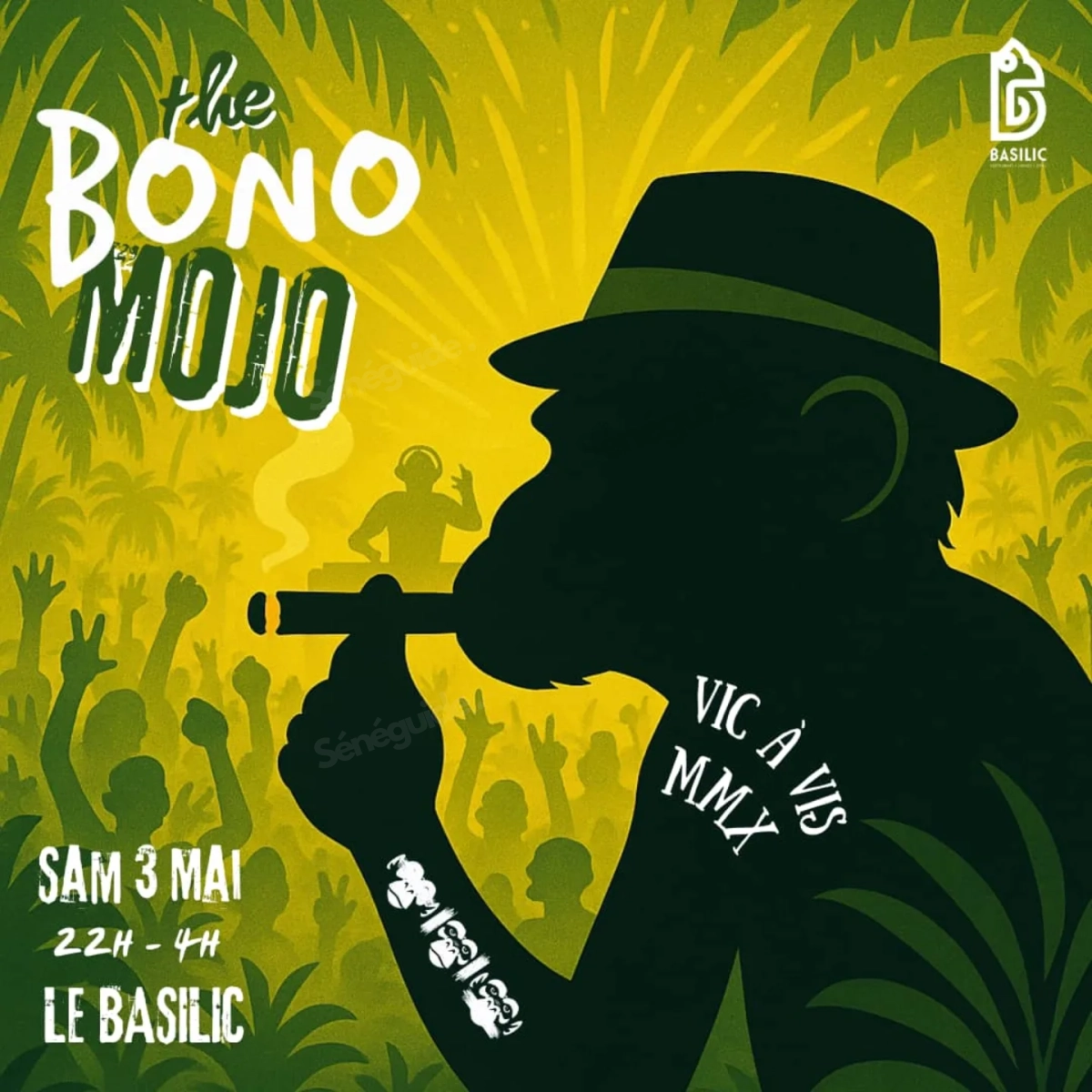 Bono Mojo