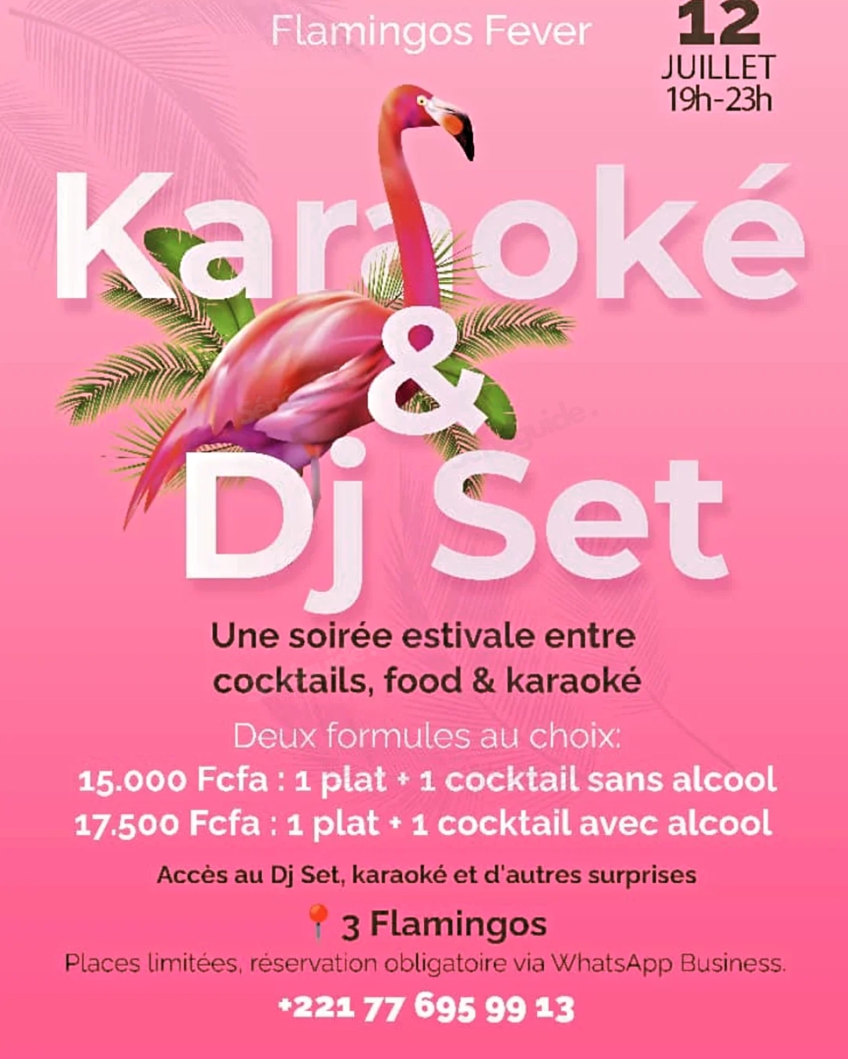 FLAMINGOS FEVER