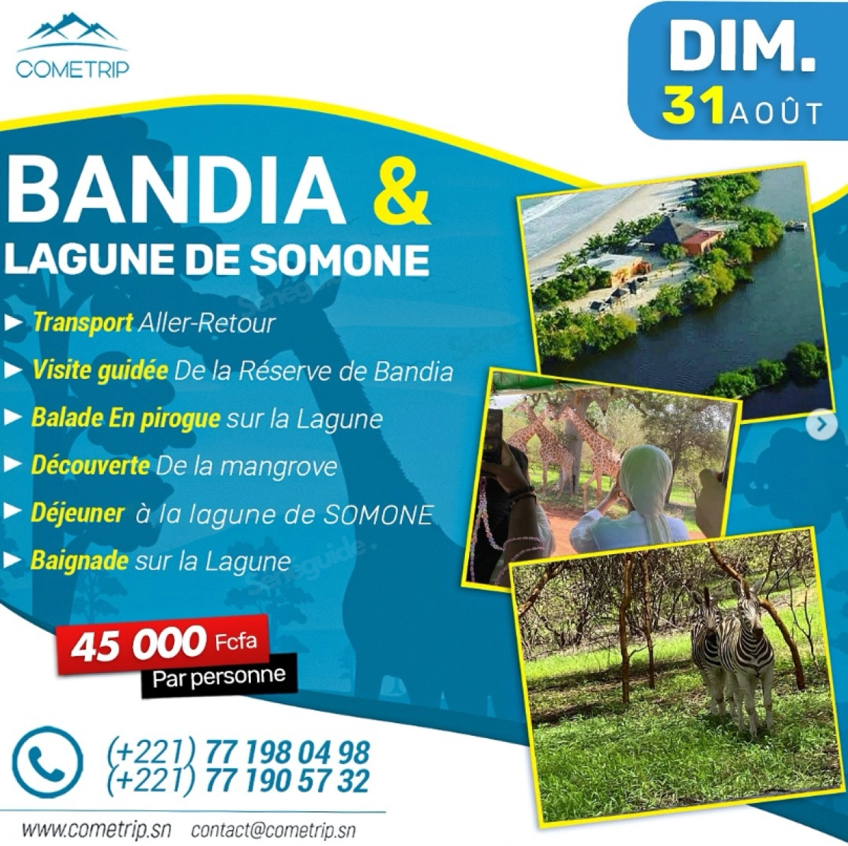 Aventure Safari