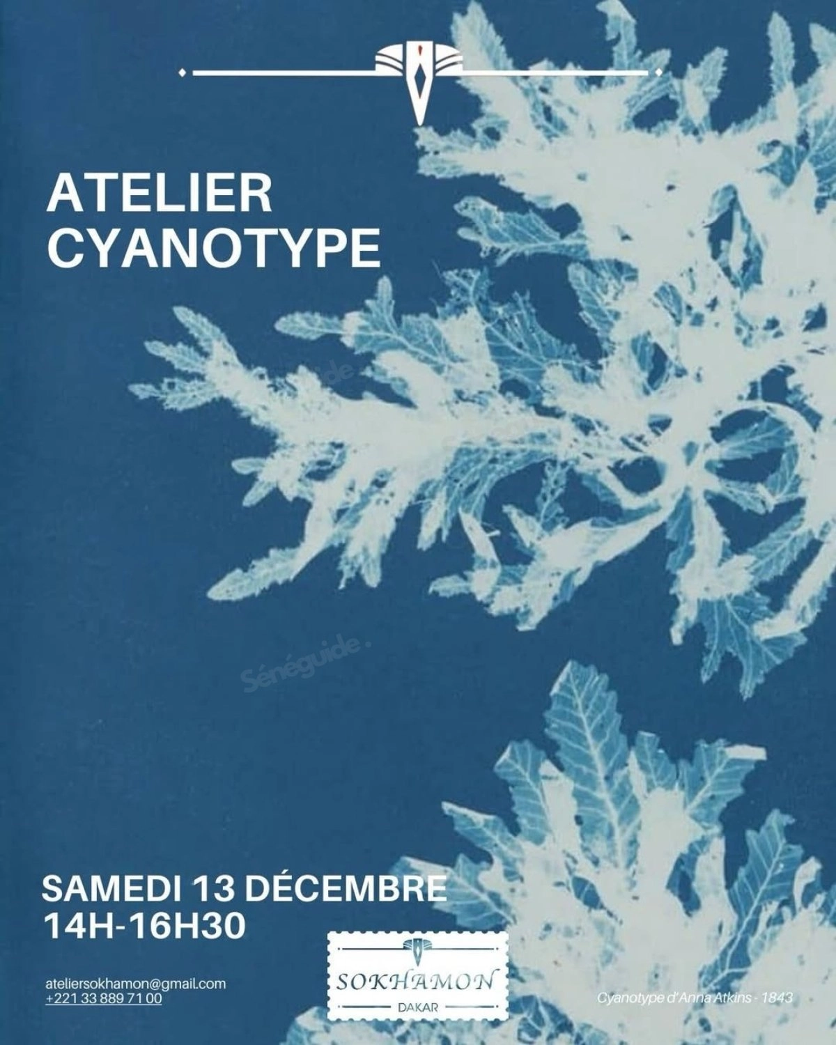 Atelier Cyanotype