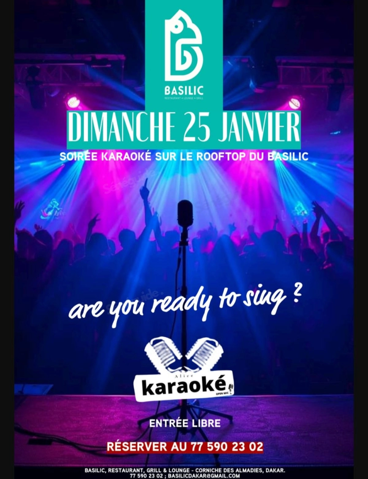 Karaoké Party au Basilic