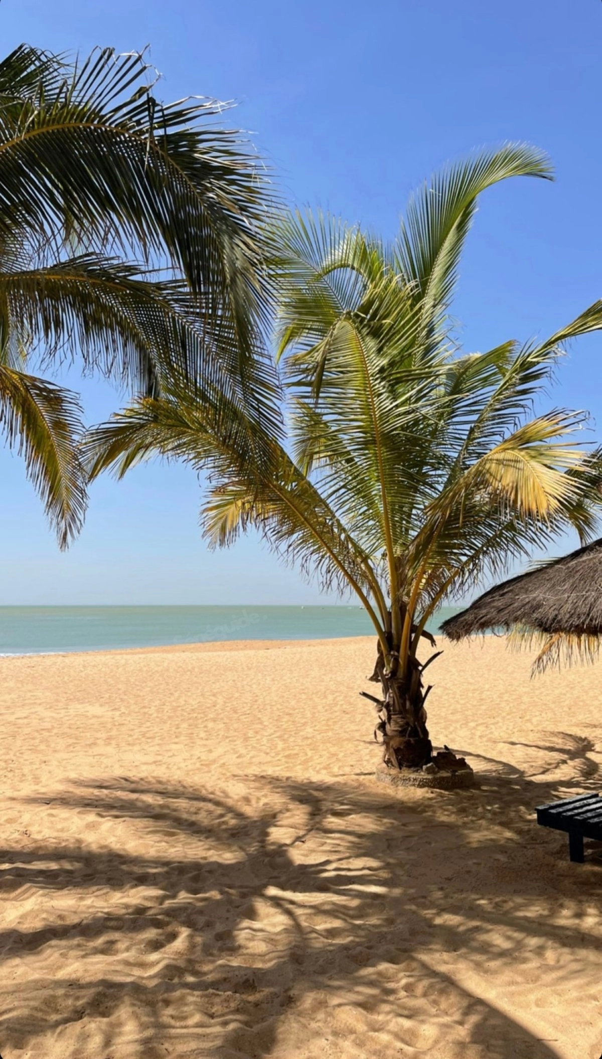 Randonnée Jet-Ski vers la Baie de Saly