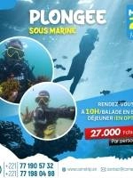Plongée Sous-Marine