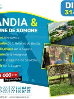 Aventure Safari