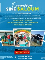 Excursion Sine Saloum