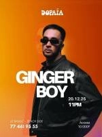 Ginger Boy En Live
