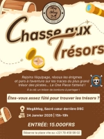 CHASSE AUX TRÉSORS : L'AVENTURE ONE PIECE
