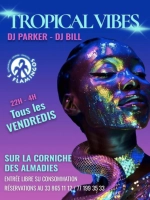 Ambiance "Soirée Tropicale"