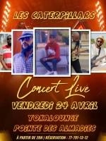 Concert Live des Caterpillars