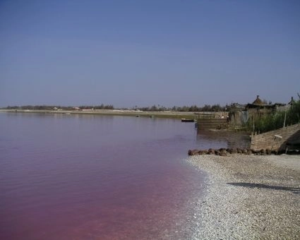 Lac Rose