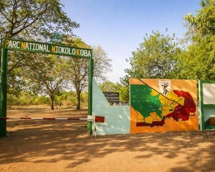 Parc National du Niokolo-Koba