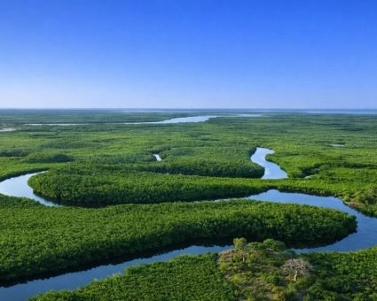 Parc National du Delta du Saloum