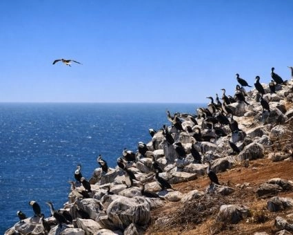 Parc National des îles de la Madeleine