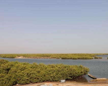 Aire marine protégée de Joal-Fadiouth