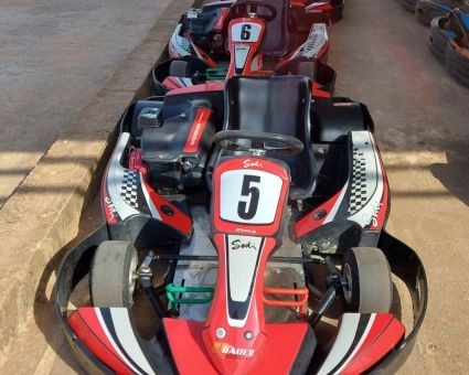 Kart'ing Saly