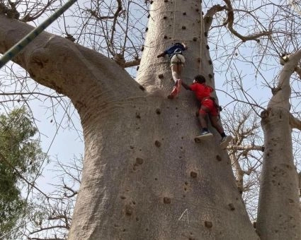 Accro Baobab Adventure